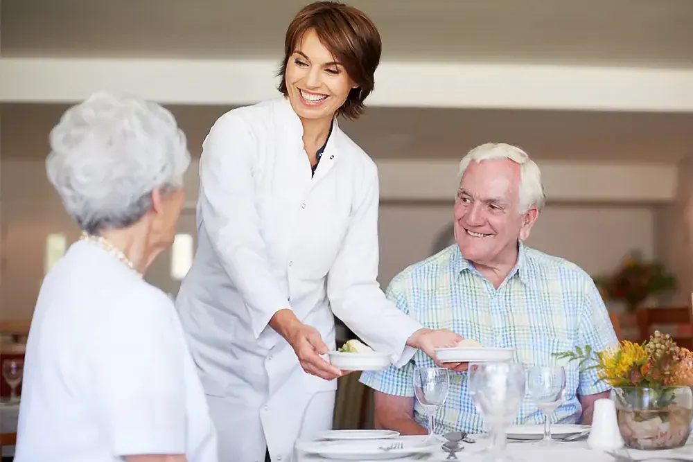 Delicious plate of food